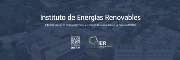 Moodle IER UNAM